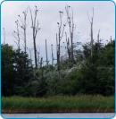 na-mazurach.pl - Wielkie Jeziora Mazurskie - Dobskie - przewodnik, interaktyna mapa Mazur